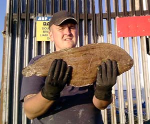 dover sole 300.jpg